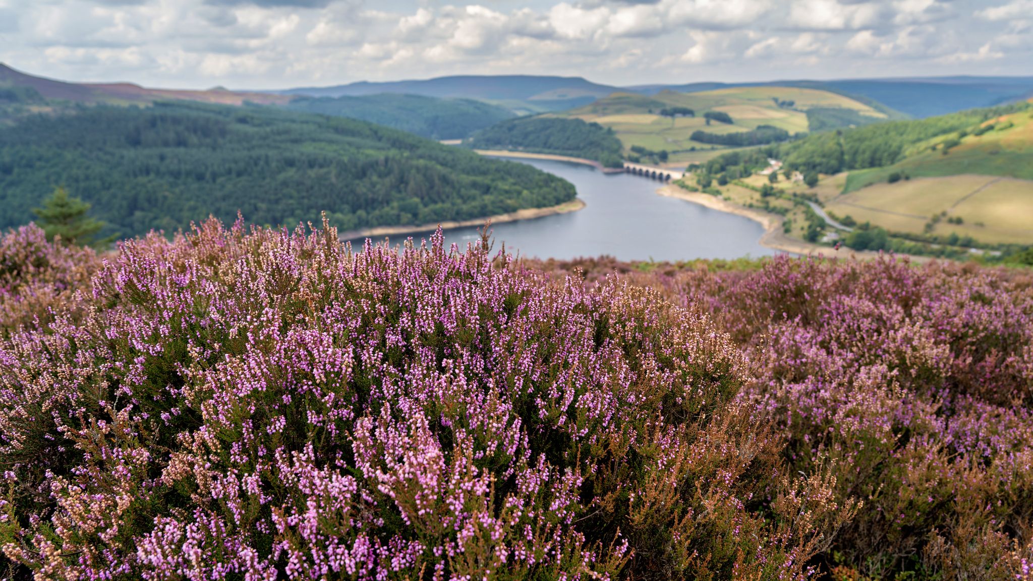 Blick vom Bamford Edge Hiking Trail zum nahe gelegenen Ladybower Reservoir